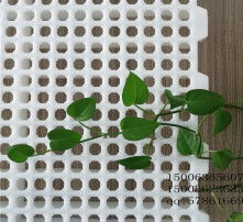 高清圖片下的塑料地板 優勢、選擇與應用